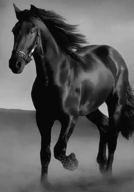 Art Canvas Animal Dark Horse Wall Art Living Room